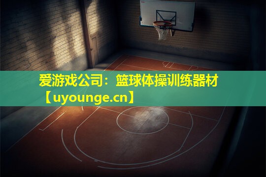 爱游戏公司：篮球体操训练器材