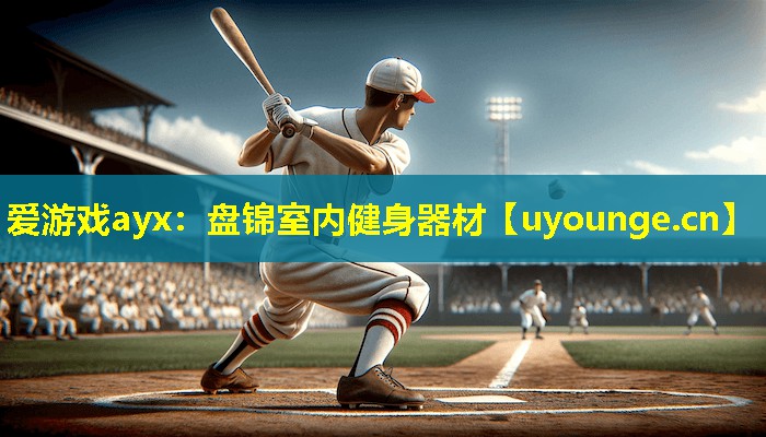 爱游戏ayx：盘锦室内健身器材