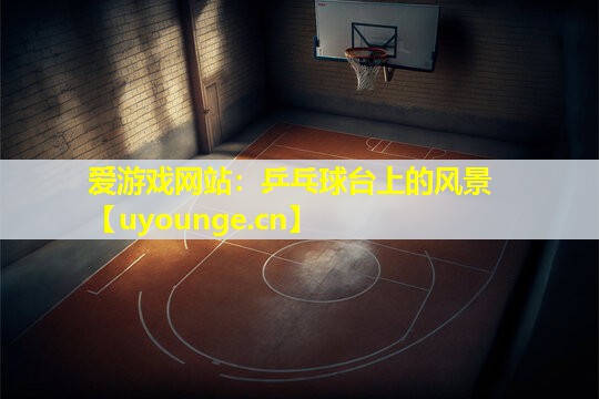 爱游戏网站：乒乓球台上的风景