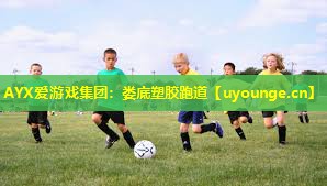 AYX爱游戏集团：娄底塑胶跑道