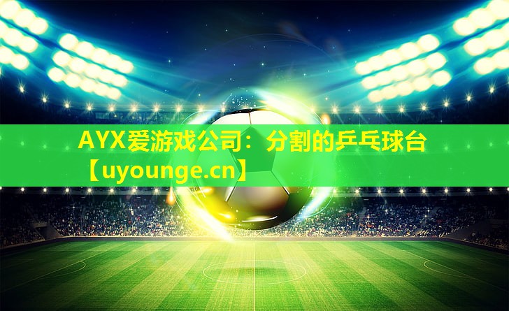 AYX爱游戏公司：分割的乒乓球台