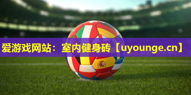 爱游戏网站：室内健身砖