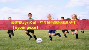 爱游戏ayx公司：乒乓球台宽的标准尺寸