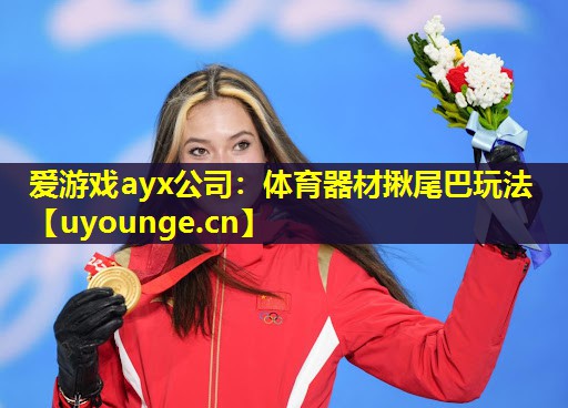 爱游戏ayx公司：体育器材揪尾巴玩法