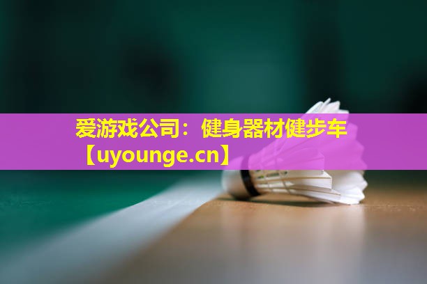 爱游戏公司：健身器材健步车
