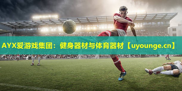 AYX爱游戏集团：健身器材与体育器材