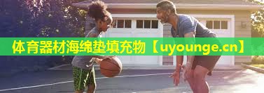 体育器材海绵垫填充物