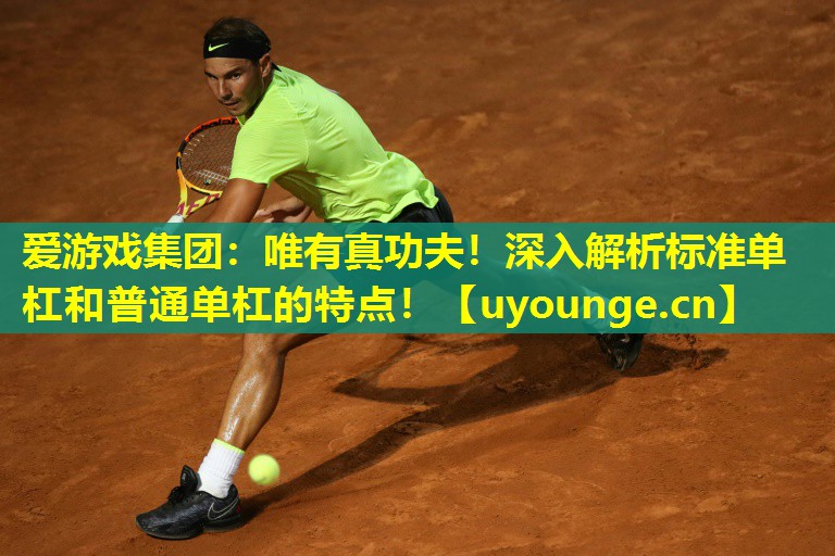 爱游戏集团：唯有真功夫！深入解析标准单杠和普通单杠的特点！