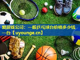 爱游戏公司：一般乒乓球台价格多少钱一台