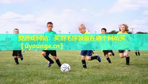 爱游戏网站：买羽毛球装备在哪个网站买
