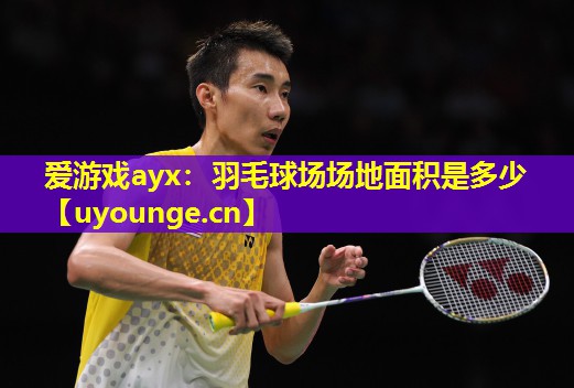 爱游戏ayx：羽毛球场场地面积是多少