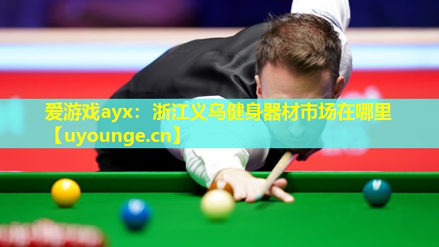 爱游戏ayx：浙江义乌健身器材市场在哪里