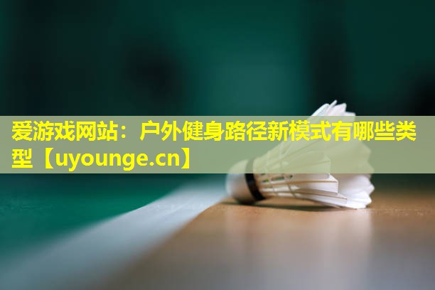 爱游戏网站：户外健身路径新模式有哪些类型
