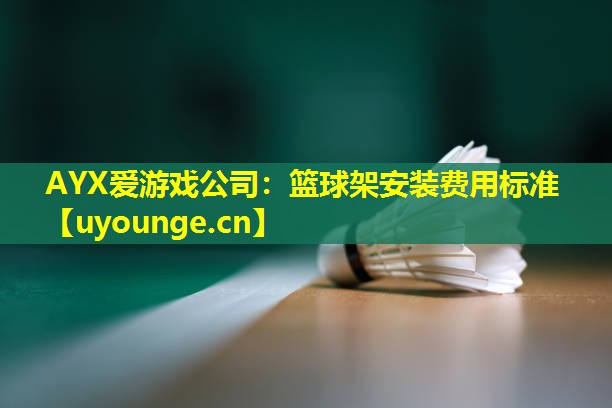 AYX爱游戏公司：篮球架安装费用标准