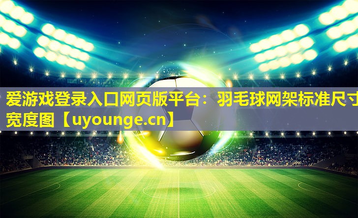 爱游戏登录入口网页版平台：羽毛球网架标准尺寸宽度图