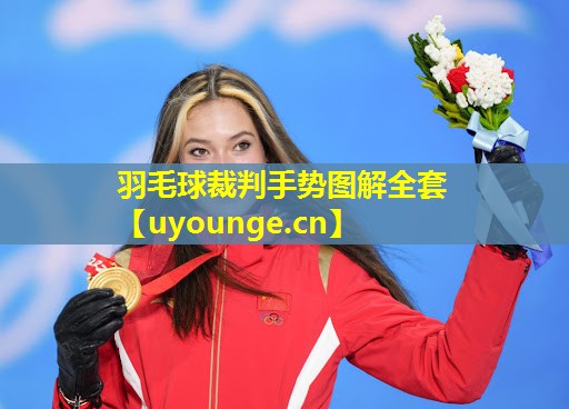 羽毛球裁判手势图解全套