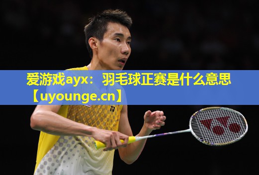 爱游戏ayx：羽毛球正赛是什么意思