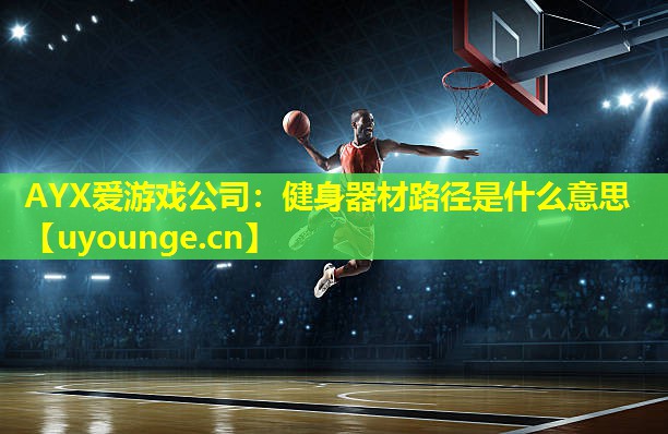AYX爱游戏公司：健身器材路径是什么意思