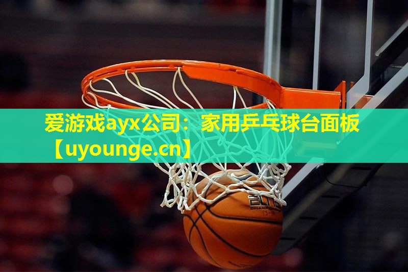 爱游戏ayx公司：家用乒乓球台面板