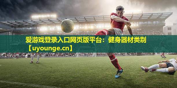 爱游戏登录入口网页版平台：健身器材类别