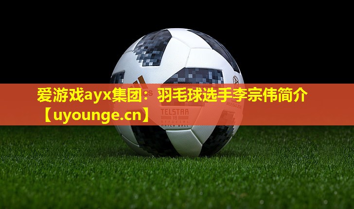爱游戏ayx集团：羽毛球选手李宗伟简介