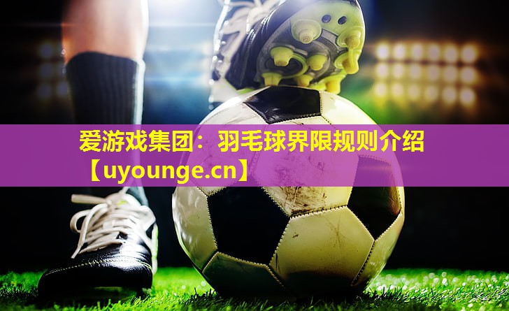 爱游戏集团：羽毛球界限规则介绍