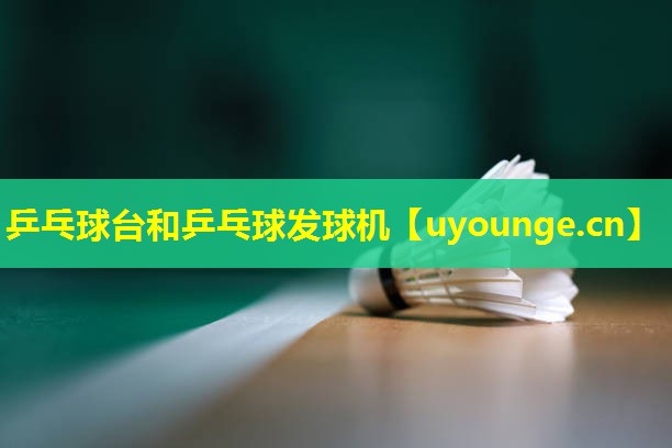 乒乓球台和乒乓球发球机 乒乓球台和乒乓球发球机
