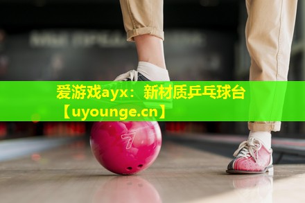 新材质乒乓球台 新材质乒乓球台