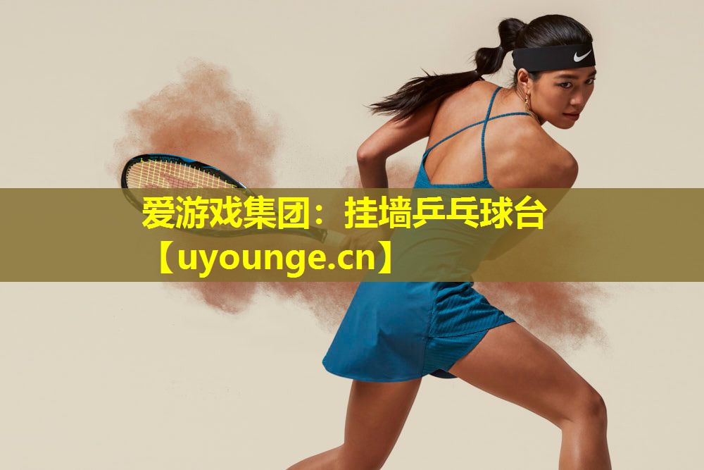 挂墙乒乓球台 挂墙乒乓球台