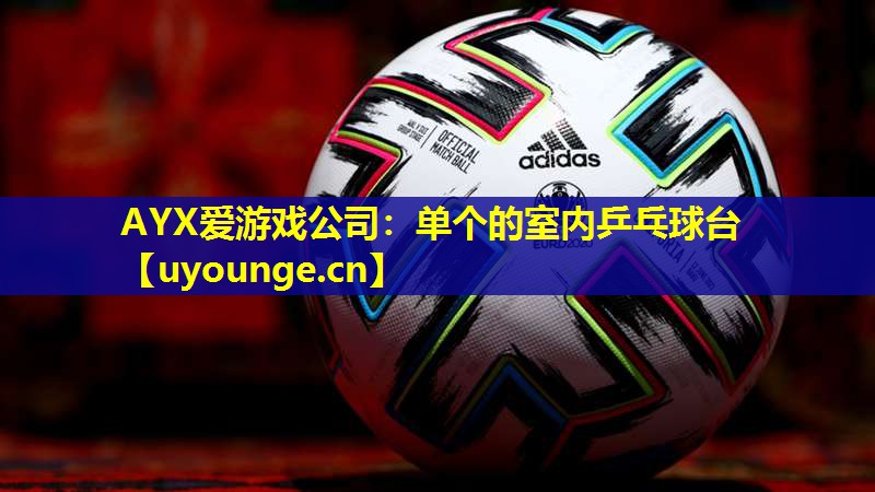 单个的室内乒乓球台 单个的室内乒乓球台