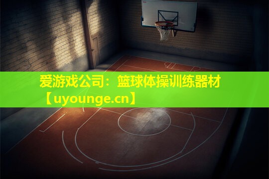 篮球体操训练器材 篮球体操训练器材