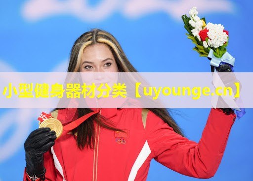 小型健身器材分类 小型健身器材分类