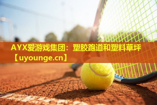 塑胶跑道和塑料草坪 塑胶跑道和塑料草坪