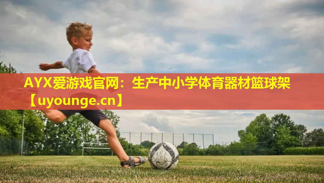生产中小学体育器材篮球架 生产中小学体育器材篮球架
