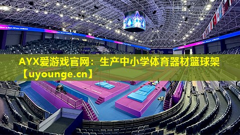 生产中小学体育器材篮球架 生产中小学体育器材篮球架