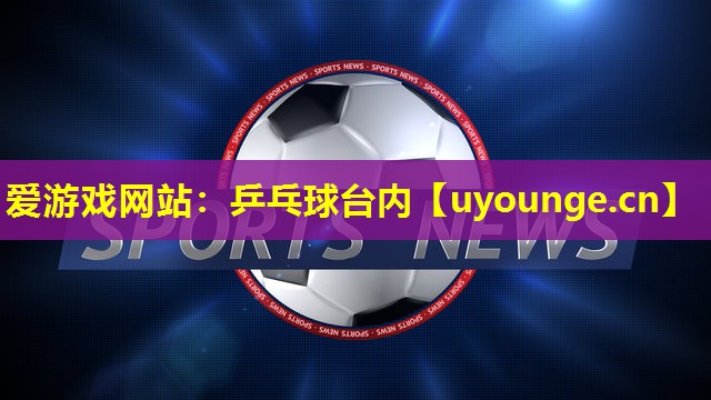 乒乓球台内 乒乓球台内