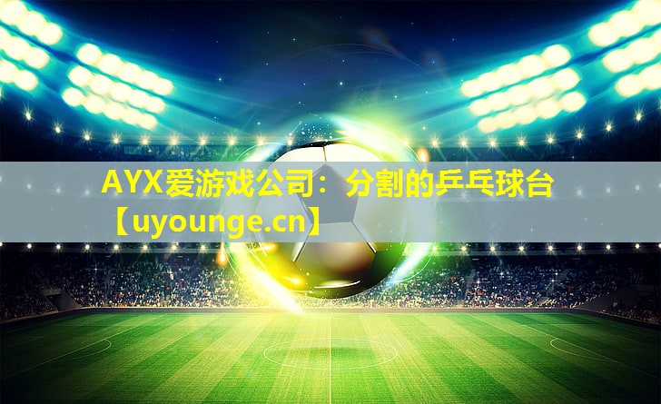 分割的乒乓球台 分割的乒乓球台