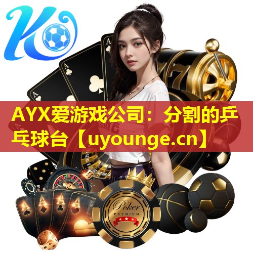 分割的乒乓球台 分割的乒乓球台