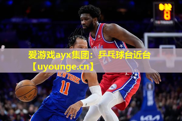 乒乓球台近台 乒乓球台近台