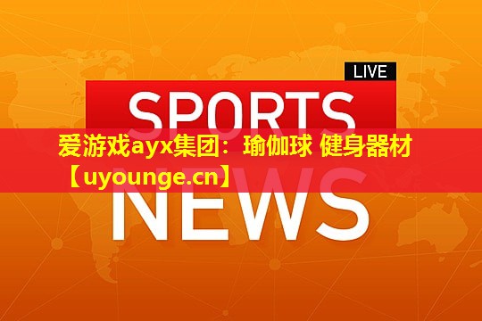 瑜伽球 健身器材 瑜伽球 健身器材