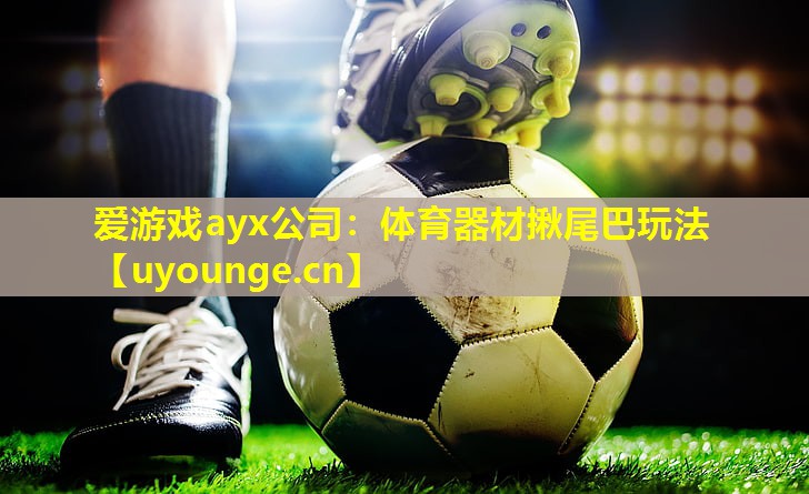 体育器材揪尾巴玩法 体育器材揪尾巴玩法