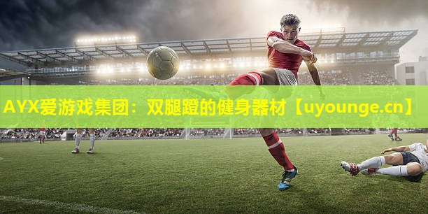 双腿蹬的健身器材 双腿蹬的健身器材