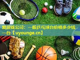一般乒乓球台价格多少钱一台 一般乒乓球台价格多少钱一台