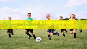 买羽毛球装备在哪个网站买 买羽毛球装备在哪个网站买
