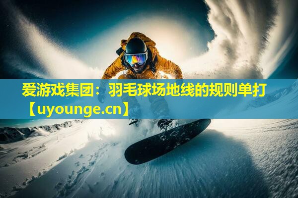 羽毛球场地线的规则单打 羽毛球场地线的规则单打