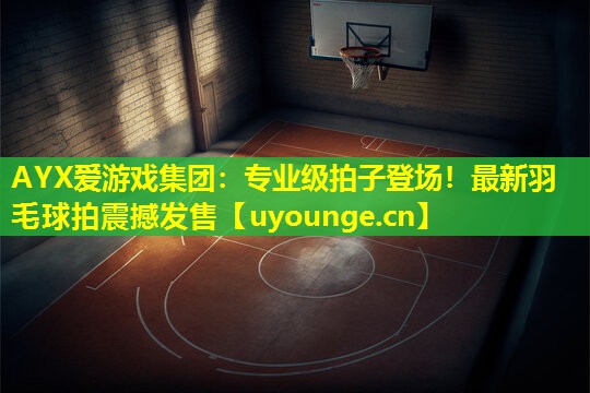 专业级拍子登场!最新羽毛球拍震撼发售 专业级拍子登场!最新羽毛球拍震撼发售
