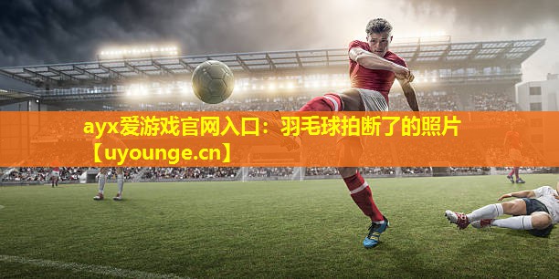 羽毛球拍断了的照片 羽毛球拍断了的照片