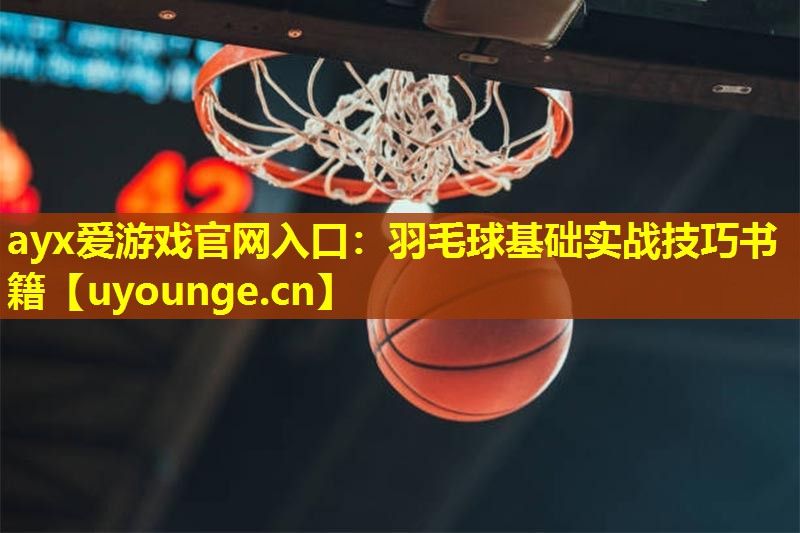 羽毛球基础实战技巧书籍 羽毛球基础实战技巧书籍
