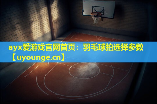羽毛球拍选择参数 羽毛球拍选择参数