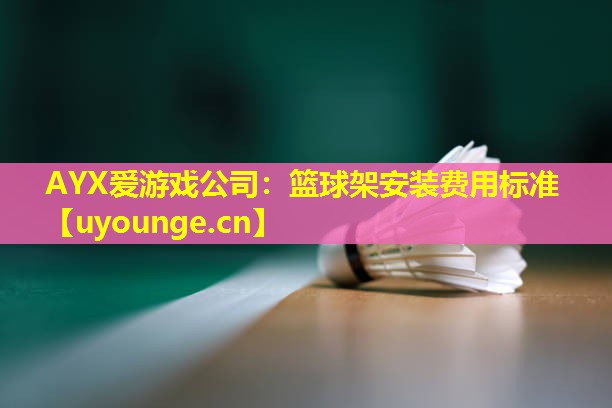 篮球架安装费用标准 篮球架安装费用标准